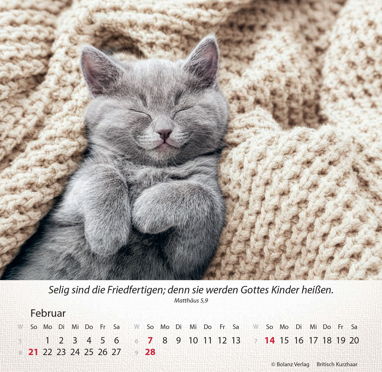 fontis-kalender-katzen-2027-aufstellkalender-tischkalender image 7