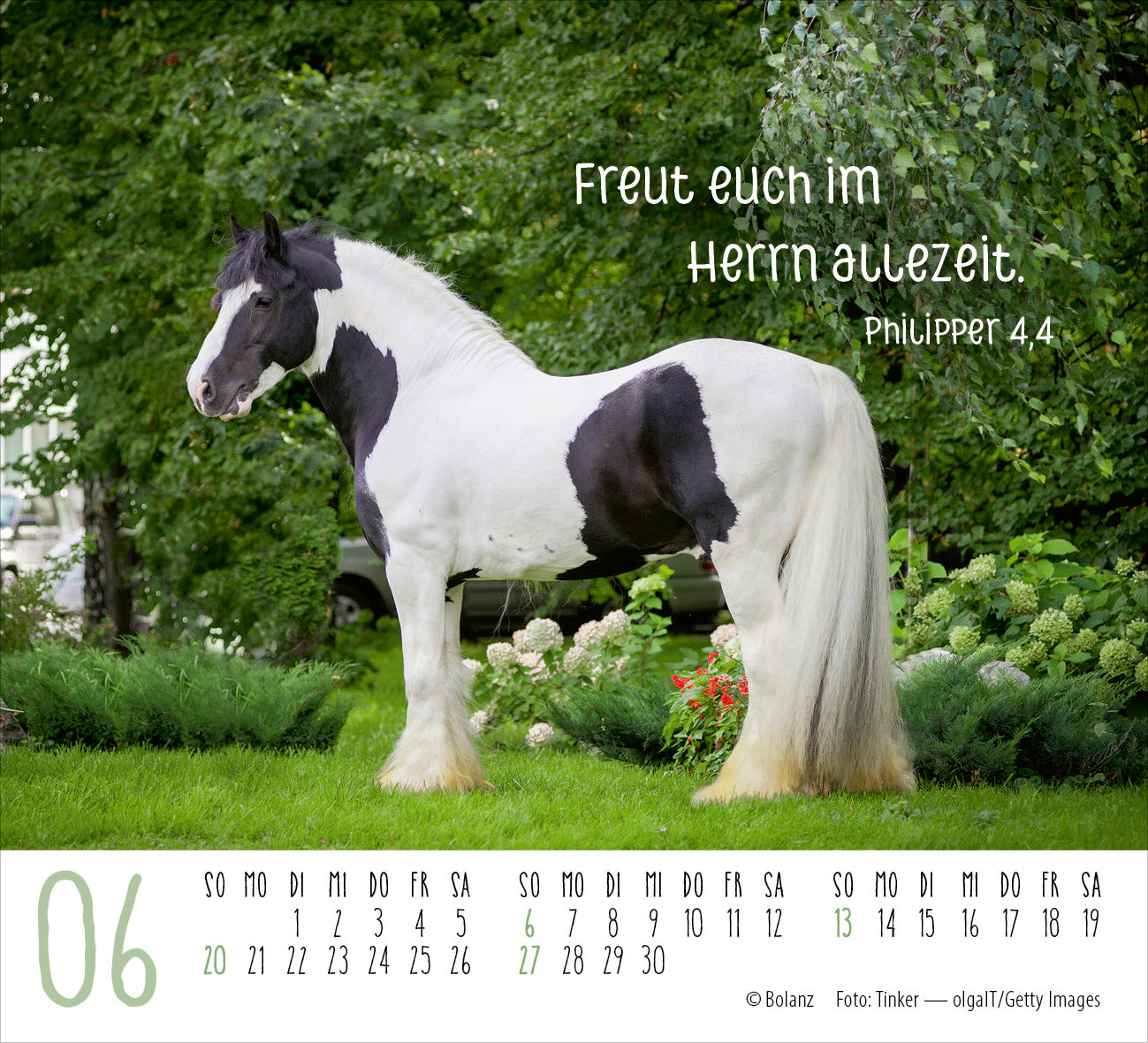fontis-pferde-2027-minikalender-tischkalender-mit-bibelversen image 8