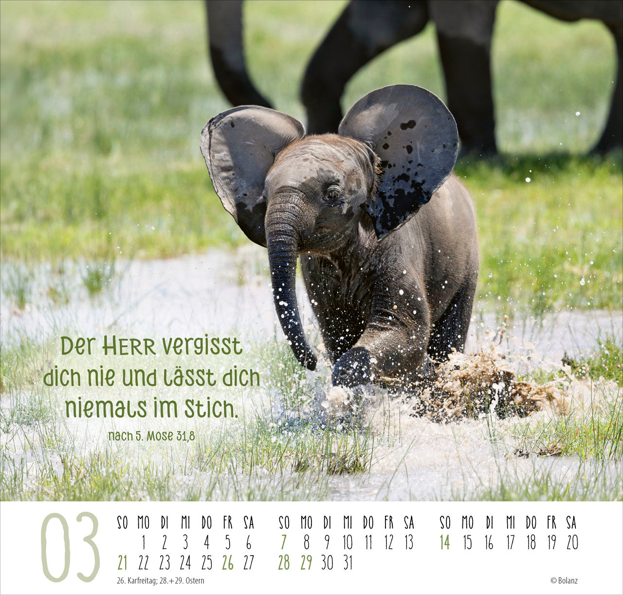 bolanz-beste-freunde-ich-mag-dich-2027-posterkalender image 5