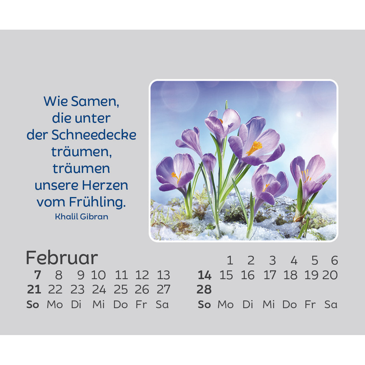 hoffnung-f-r-jeden-tag-2027-aufstellkalender-mini-kawohl image 4
