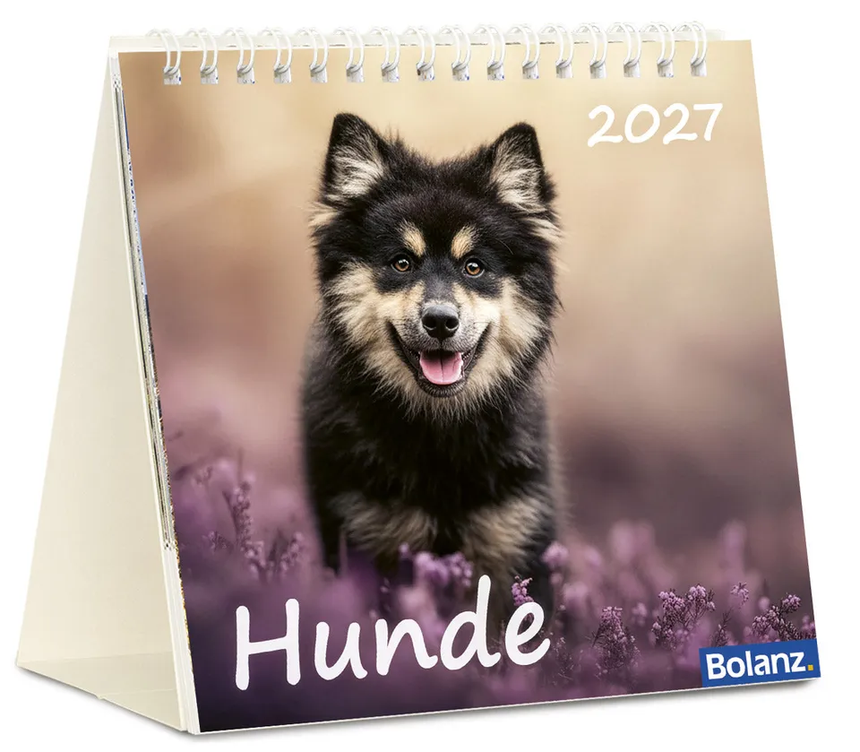 hunde-2027-aufstellkalender-tischkalender-mit-bibelversen image 1