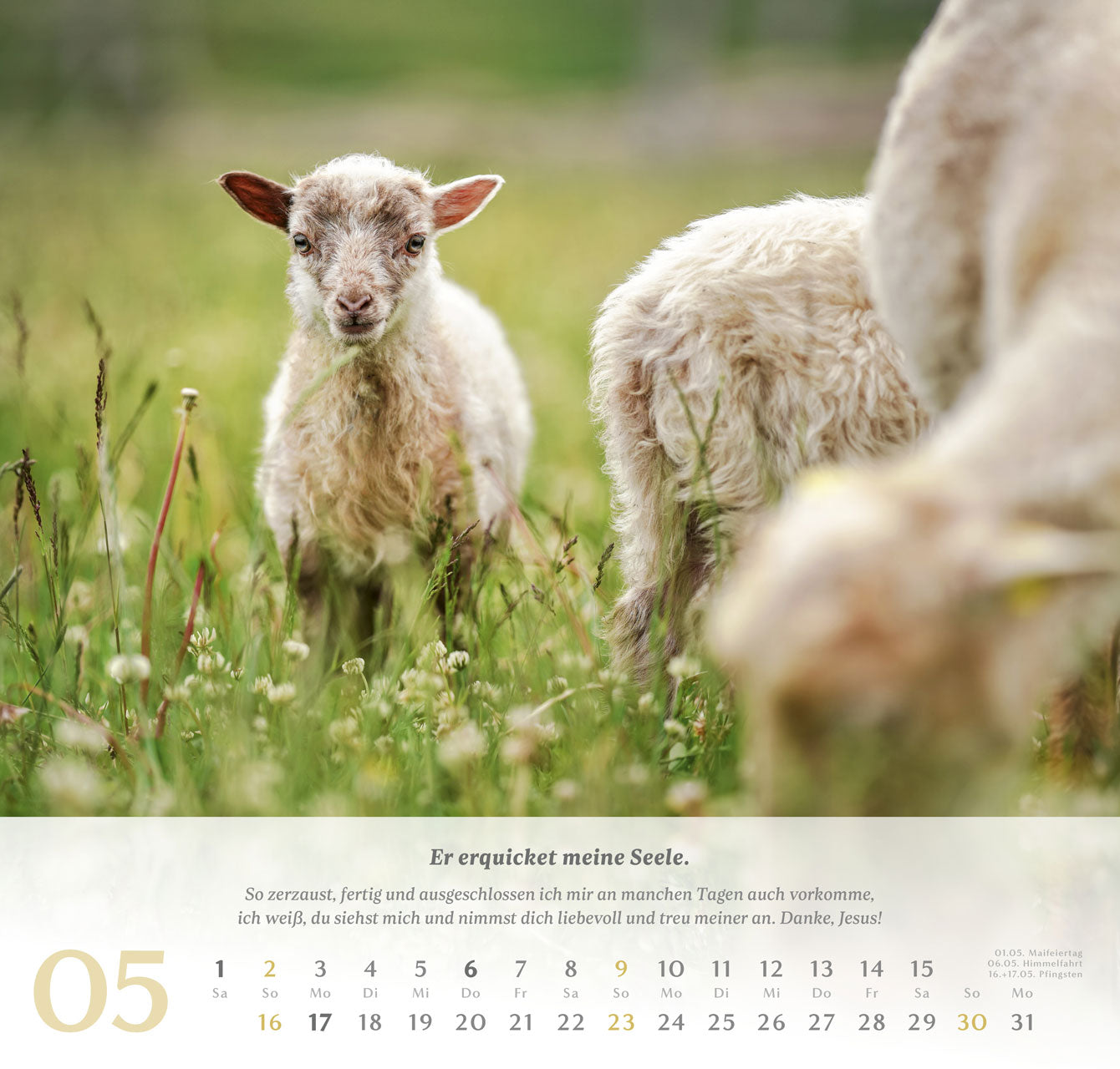 fontis-kalender-psalm-23-wandkalender-2027-der-herr-ist-mein-hirte image 6