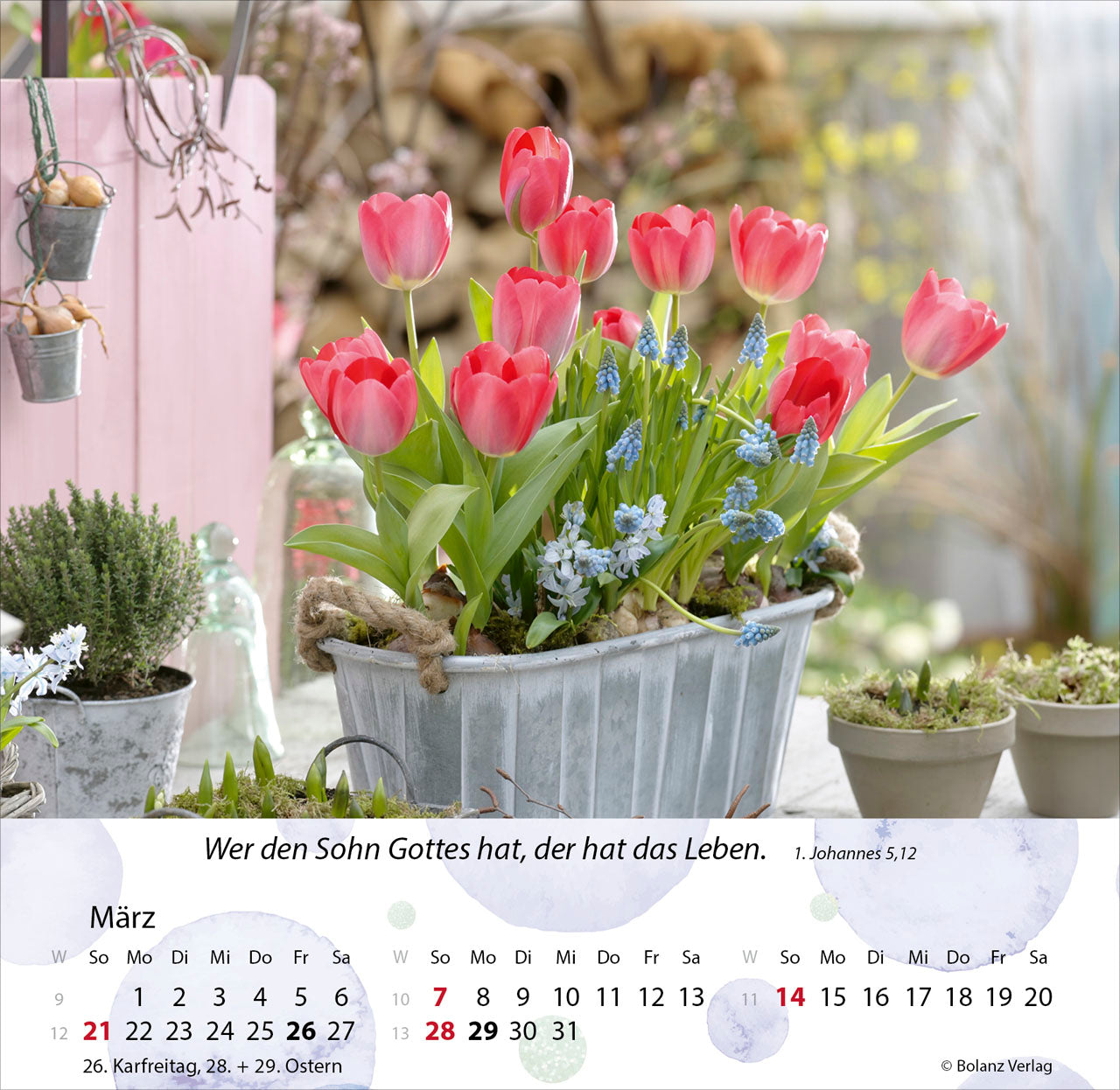 fontis-g-rten-2027-postkartenkalender-mit-bibelversen image 5