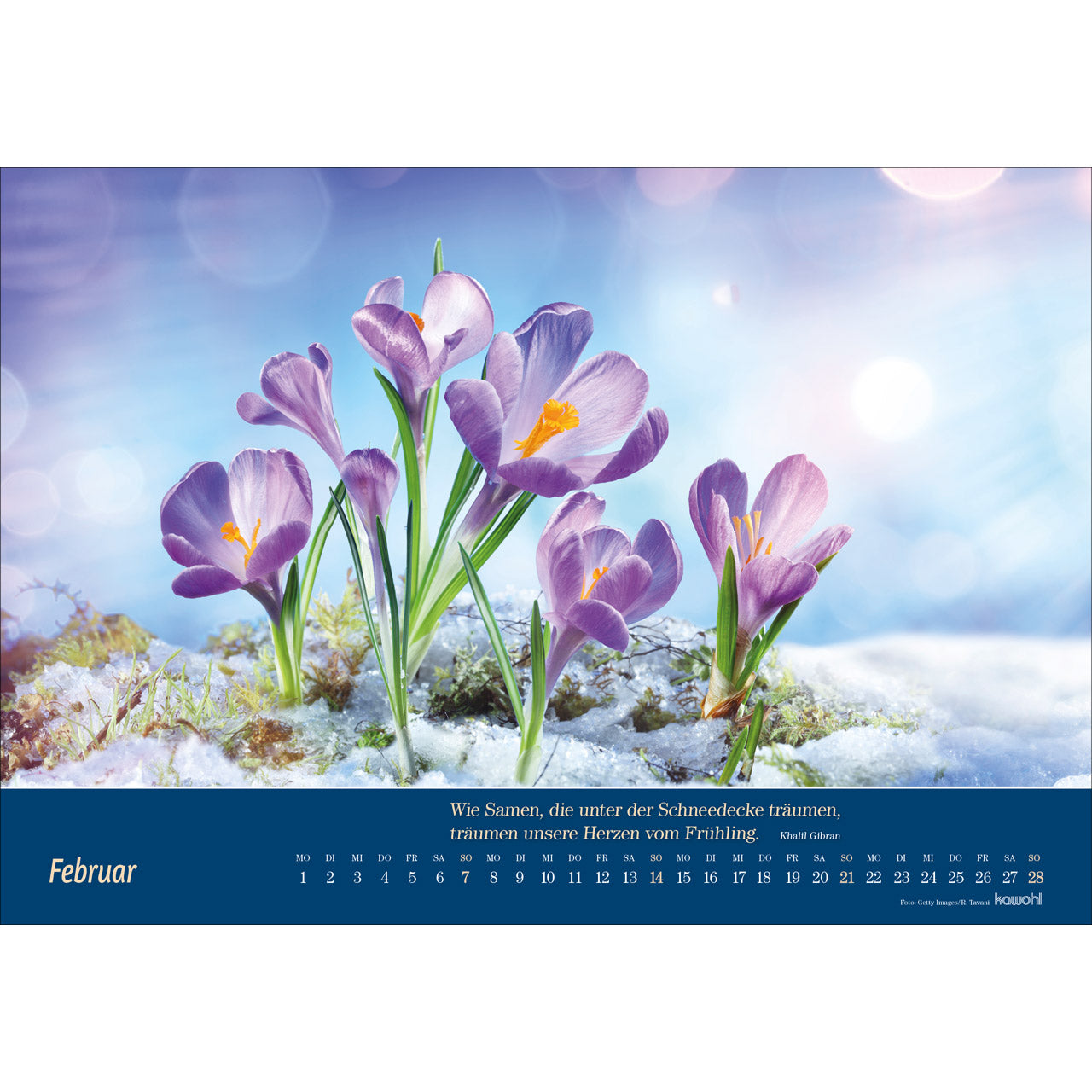 atemholen-2027-wandkalender-ruth-heil-naturmotive image 3