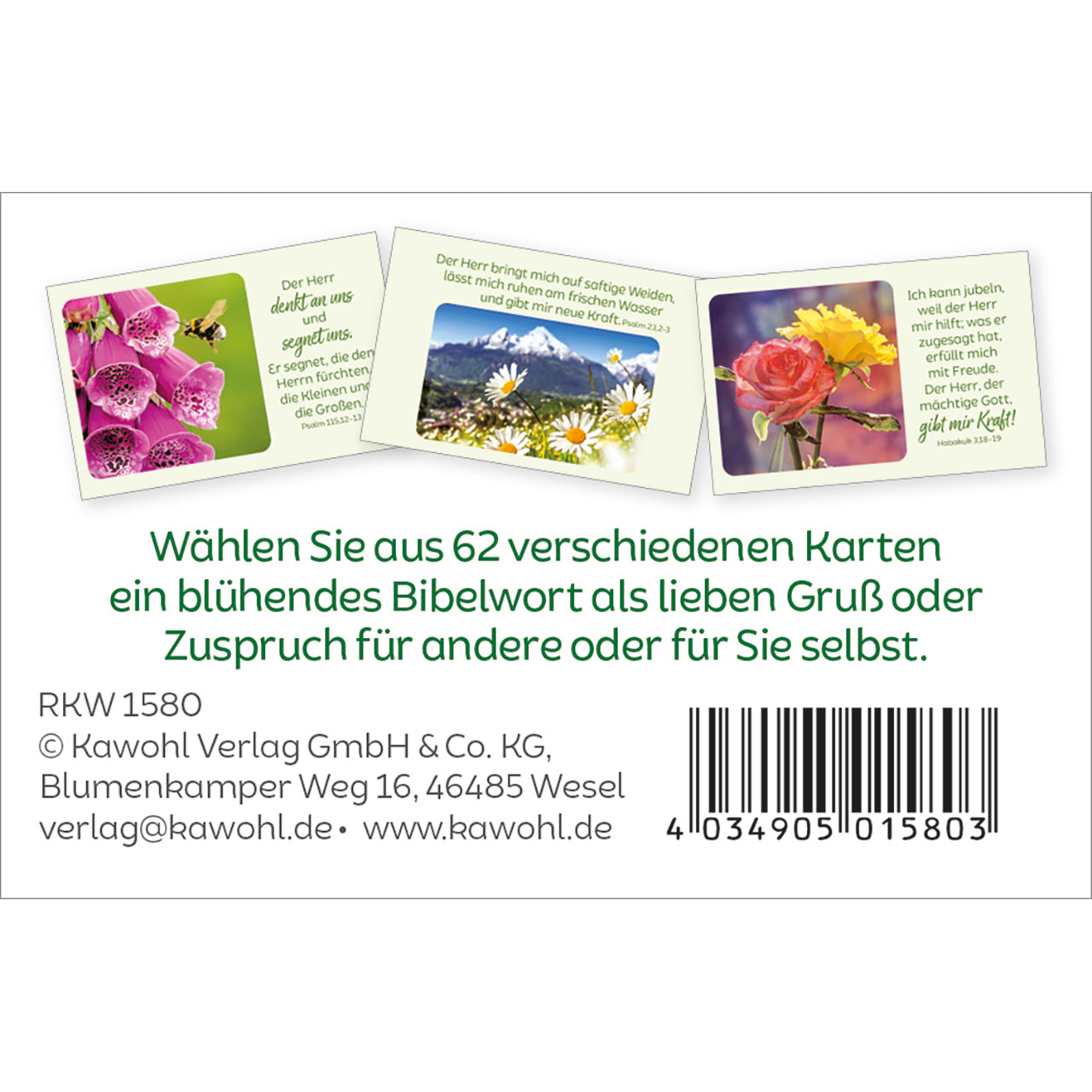 fontis-bl-tenreiche-bibelverse-kartenbox-62-karten-trost-zuversicht image 7