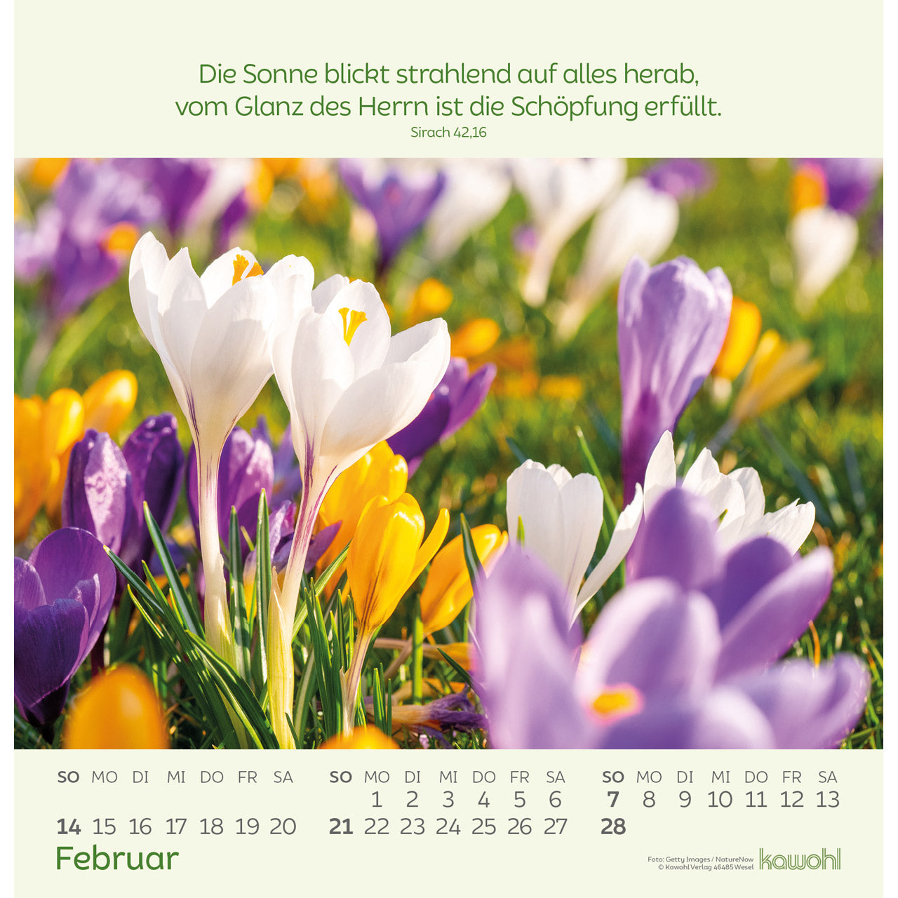 fontis-kalender-blumengr-e-2027-wandkalender-blumen image 4