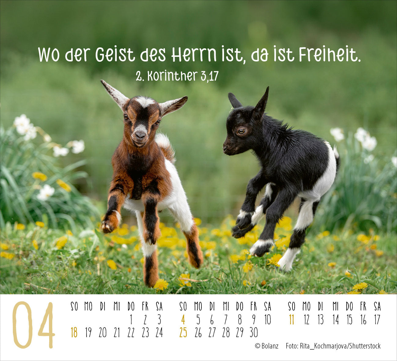 fontis-begegnungen-dich-vergess-ich-nie-minikalender-2027 image 6