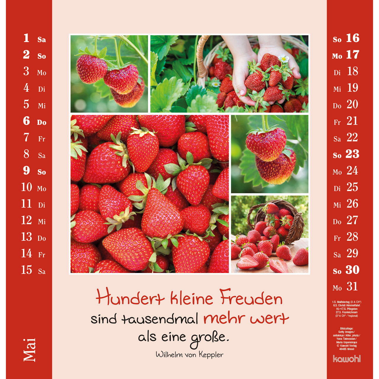 fontis-kalender-kleine-freuden-entdecken-2027-wandkalender image 7