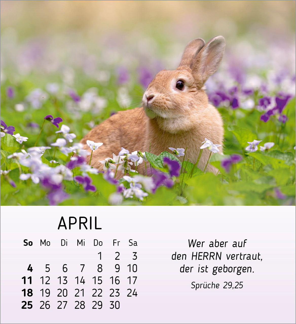 fontis-kalender-meine-kleinen-freunde-2027-aufstellkalender-tiere-kinder image 6