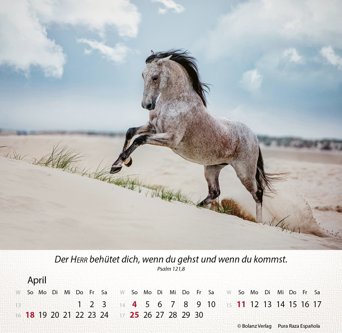 fontis-kalender-pferde-2027-tischkalender-mit-bibelversen image 5