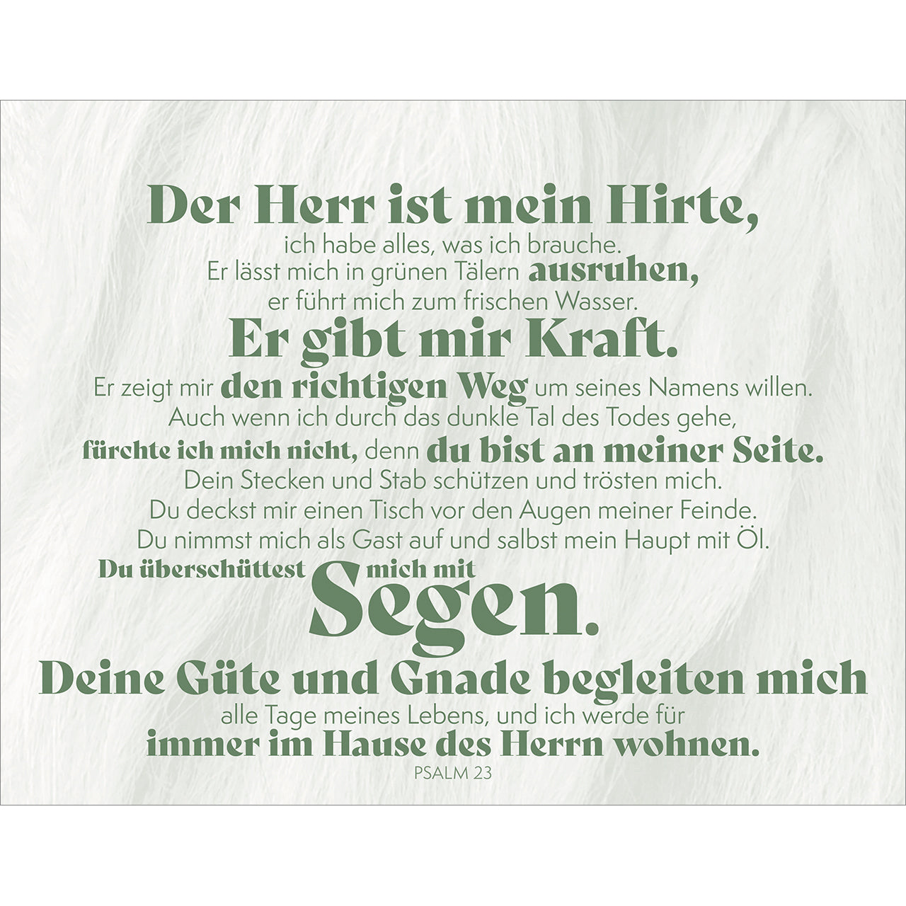 fontis-b-cher-mutig-und-gest-rkt-postkarten-aufstellbuch-24-karten image 5