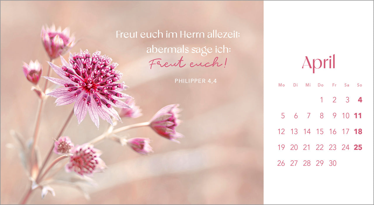 augenblicke-der-anbetung-2027-postkartenkalender-blumen image 6