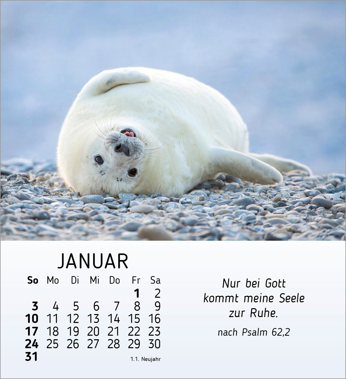 fontis-kalender-meine-kleinen-freunde-2027-aufstellkalender-tiere-kinder image 3