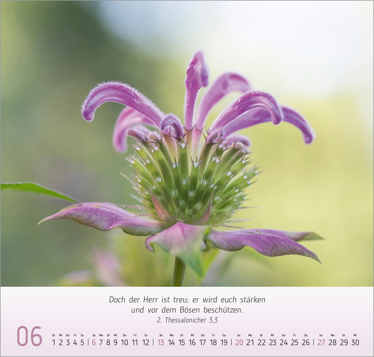 fontis-kalender-gesichter-der-natur-2027-wandkalender-bibelverse image 8