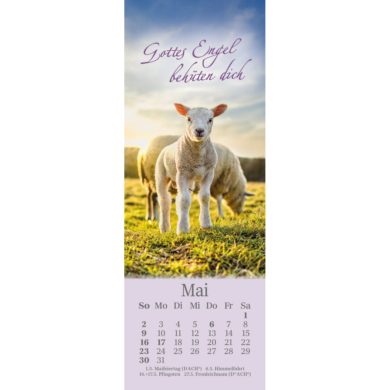 fontis-kalender-sei-beh-tet-jeden-tag-2027-lesezeichen-psalm-23 image 7