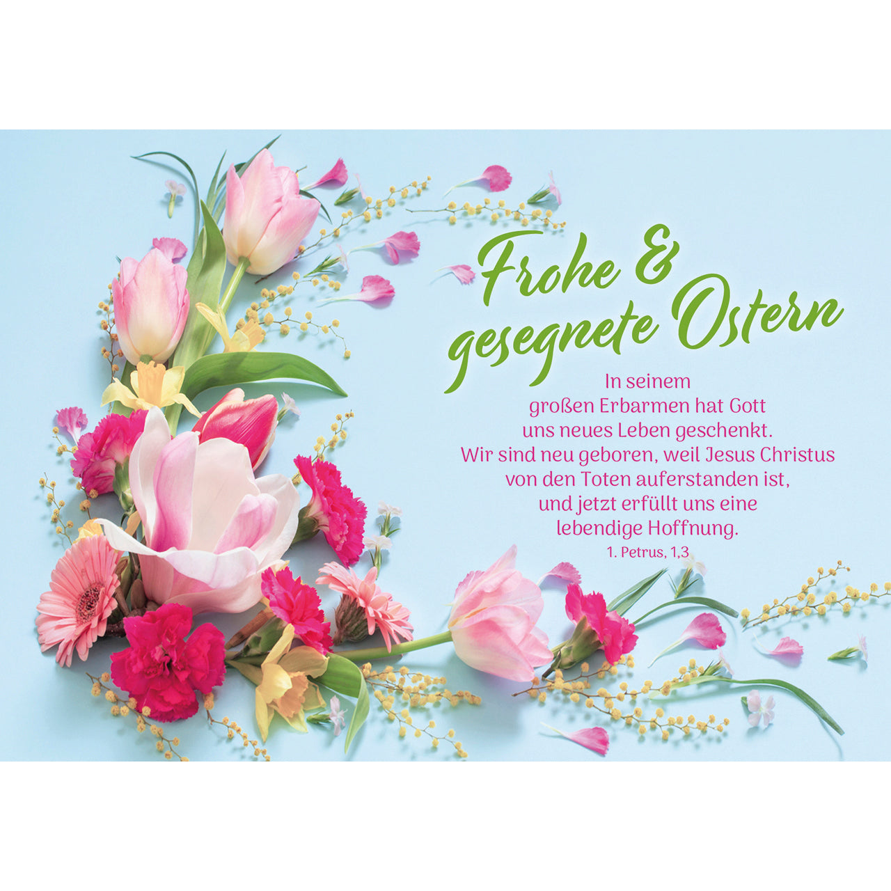 fontis-papeterie-frohe-gesegnete-ostern-postkarten-12er-bibelvers image 1
