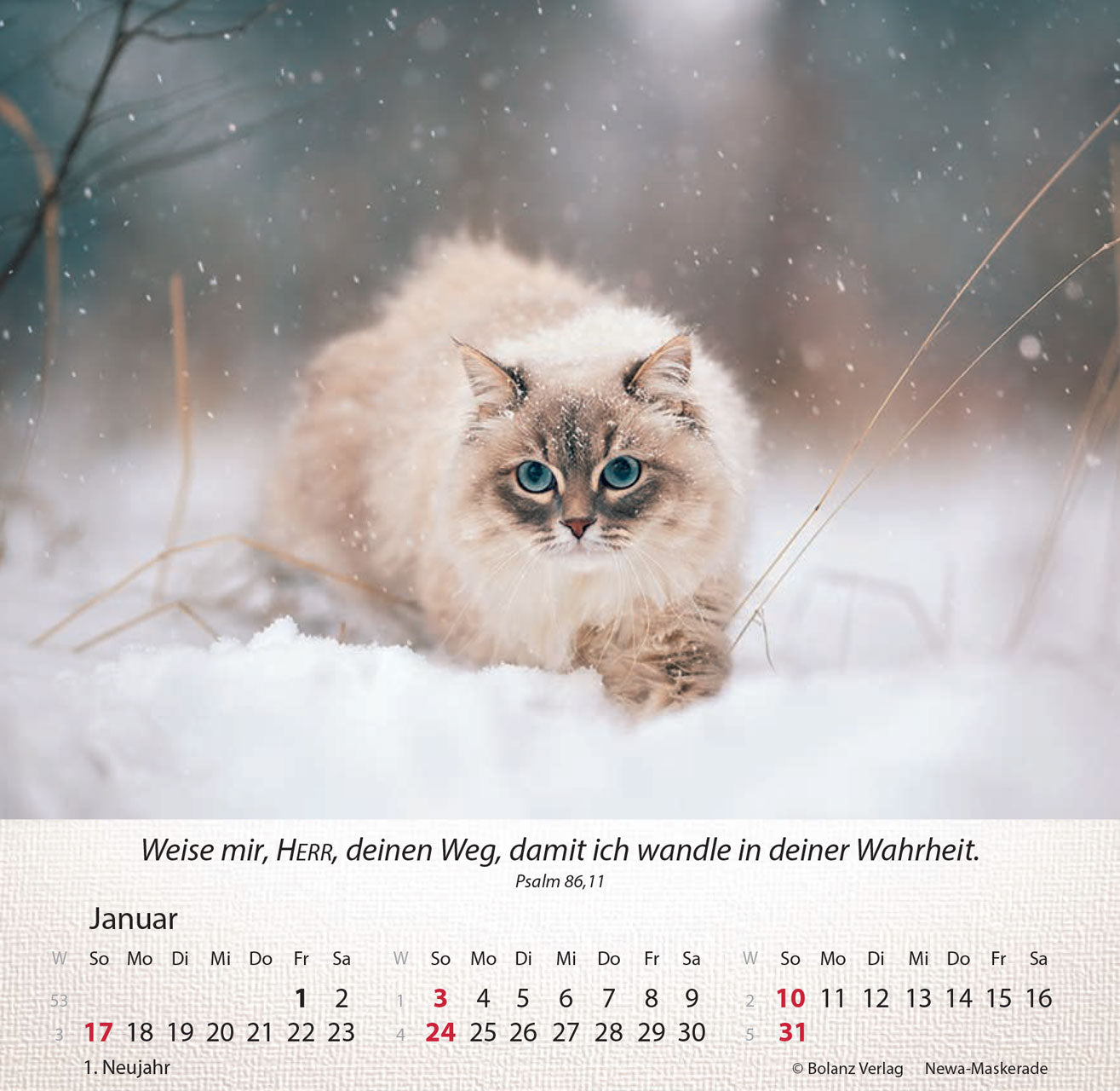 fontis-kalender-katzen-2027-aufstellkalender-tischkalender image 3