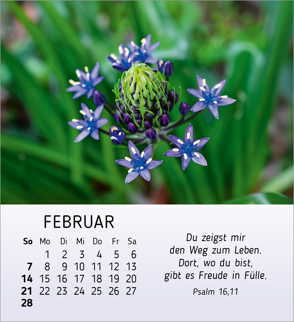 ich-w-nsch-dir-freude-2027-aufstellkalender-blumen image 4