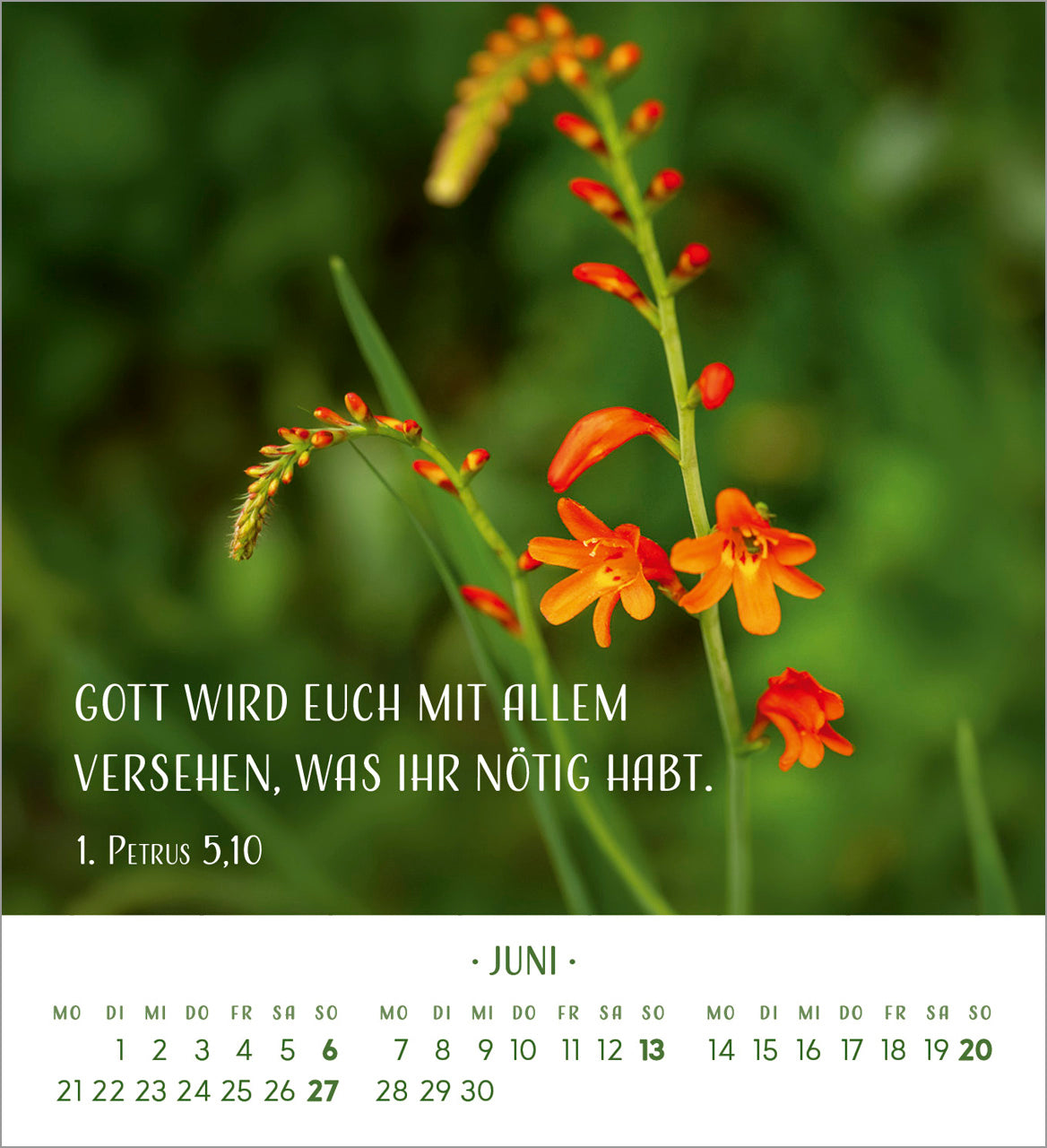 fontis-zarte-blumengr-e-2027-aufstellkalender image 8