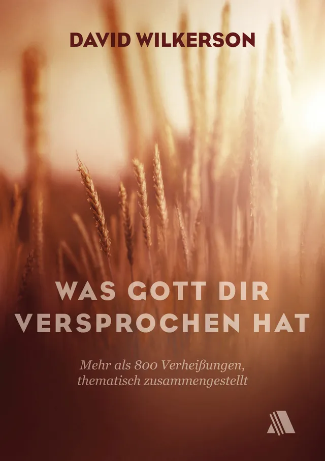 was-gott-dir-versprochen-hat-buch-paperback-david-wilkerson image 1
