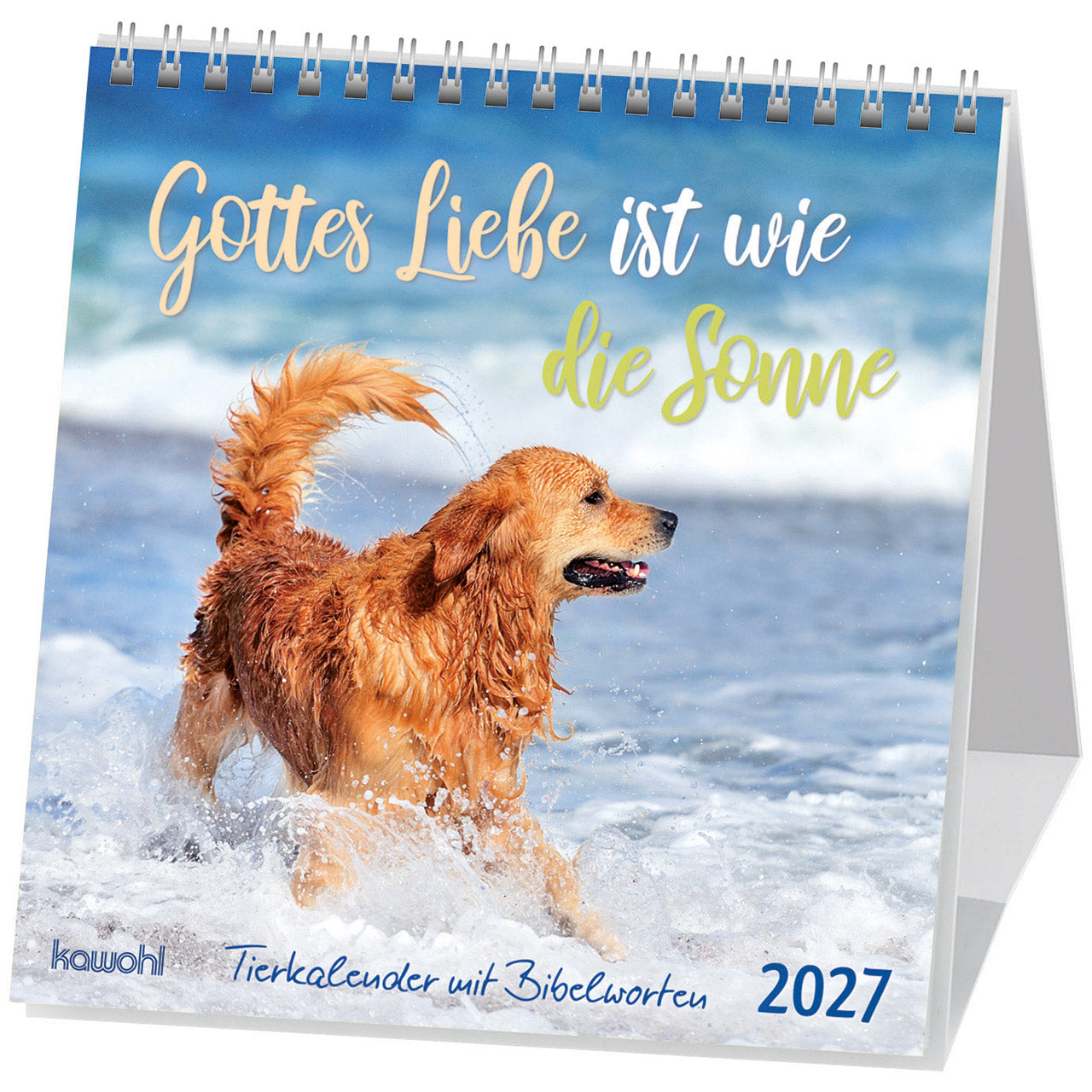 fontis-kalender-gottes-liebe-ist-wie-die-sonne-2027-postkartenkalender-tiere image 1
