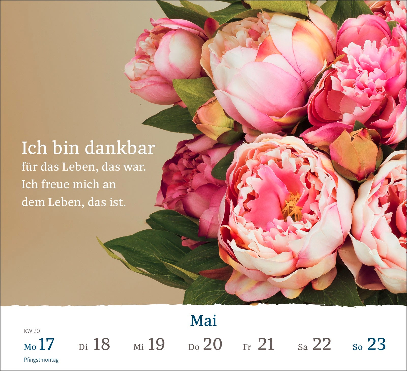 fontis-sch-ne-aussichten-2027-wochen-aufstellkalender-k-mann image 4