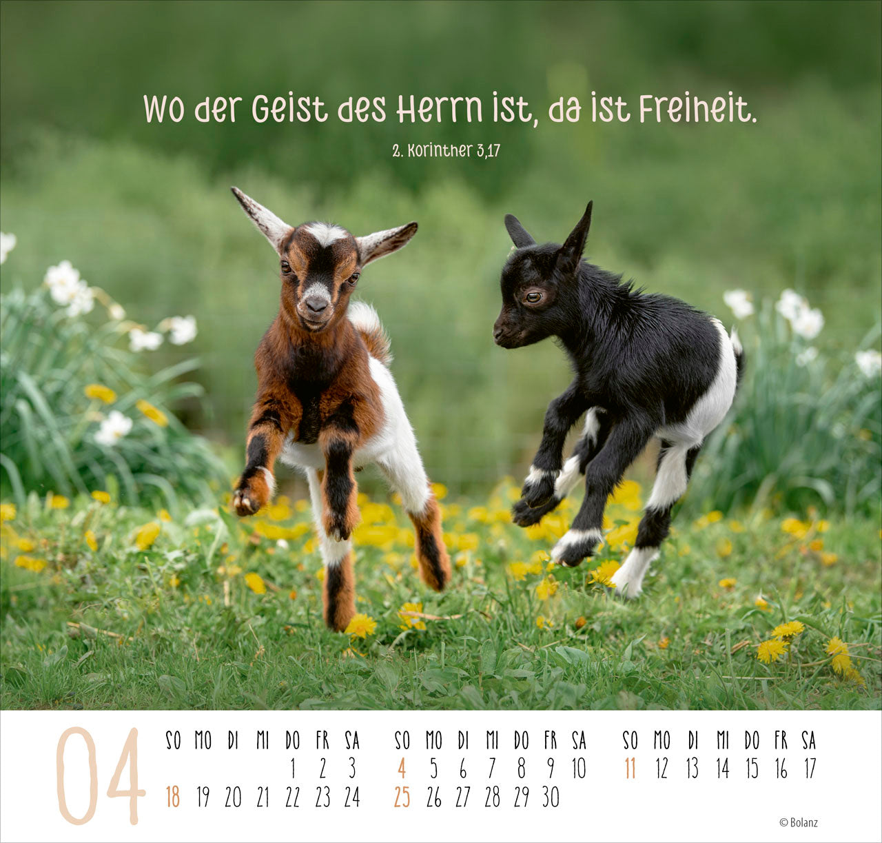bolanz-beste-freunde-ich-mag-dich-2027-posterkalender image 6