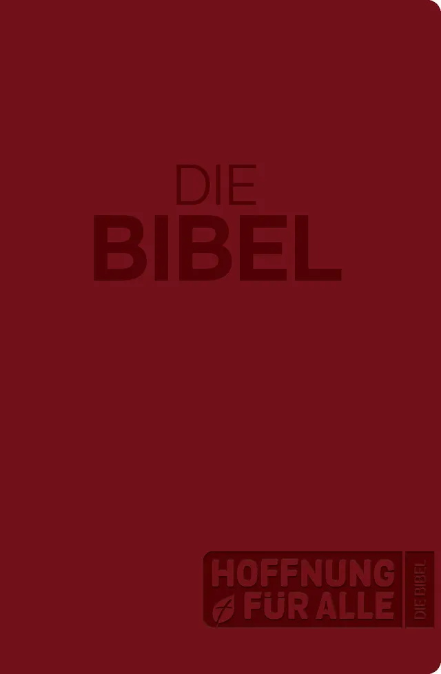 fontis-hoffnung-f-r-alle-bibel-gro-druck-softcover image 1