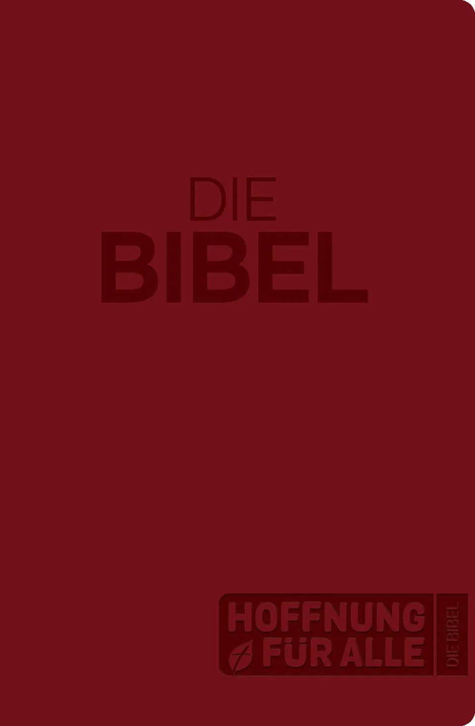 fontis-hoffnung-f-r-alle-bibel-gro-druck-softcover image 1