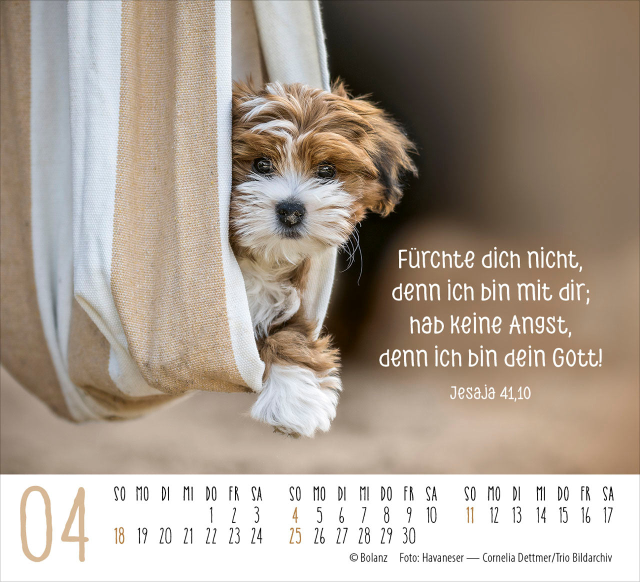 fontis-hunde-2027-minikalender-treue-wegbegleiter-bibelverse image 6