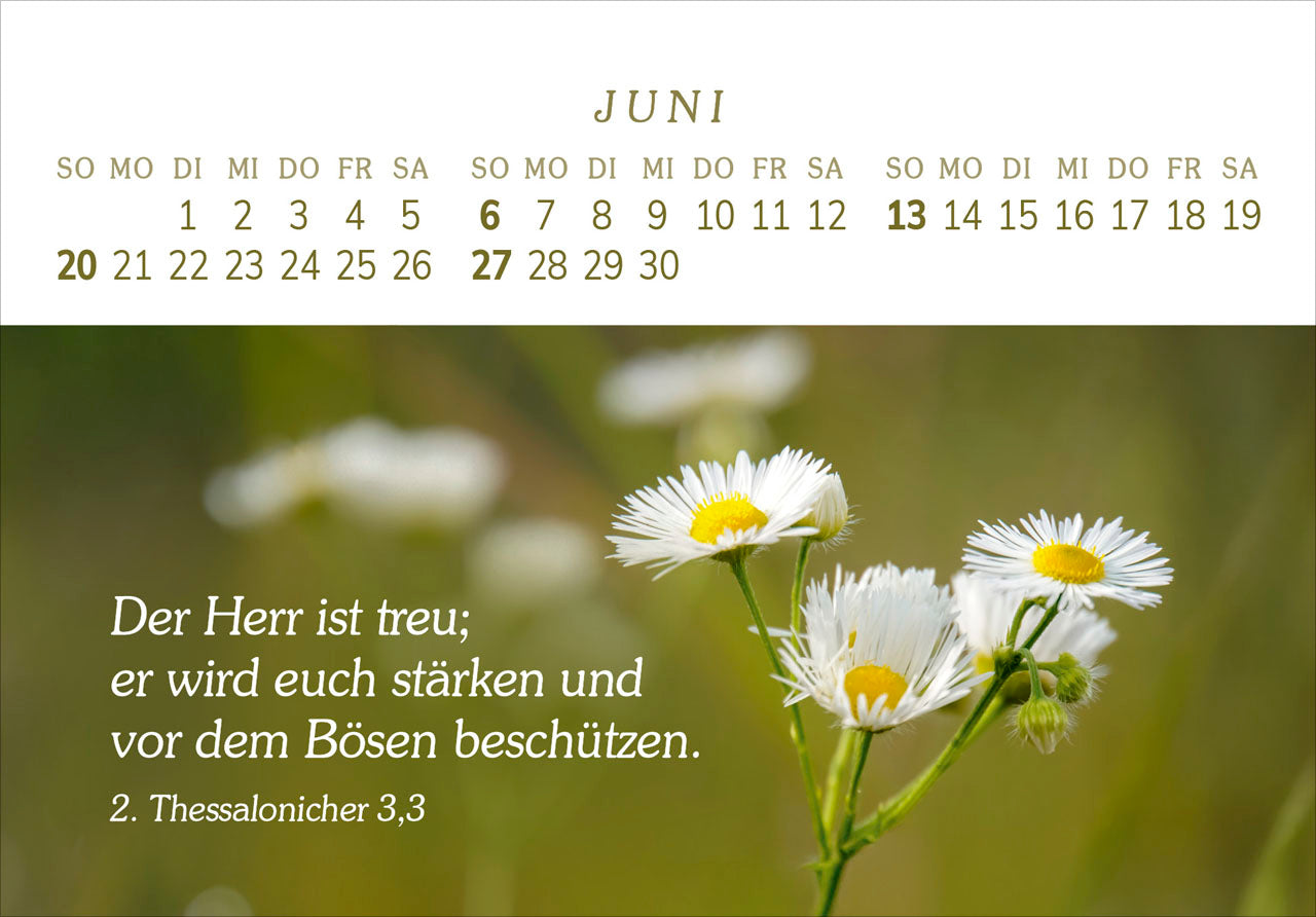 fontis-das-geschenk-der-freude-2027-aufstellkalender-gro-druck image 8