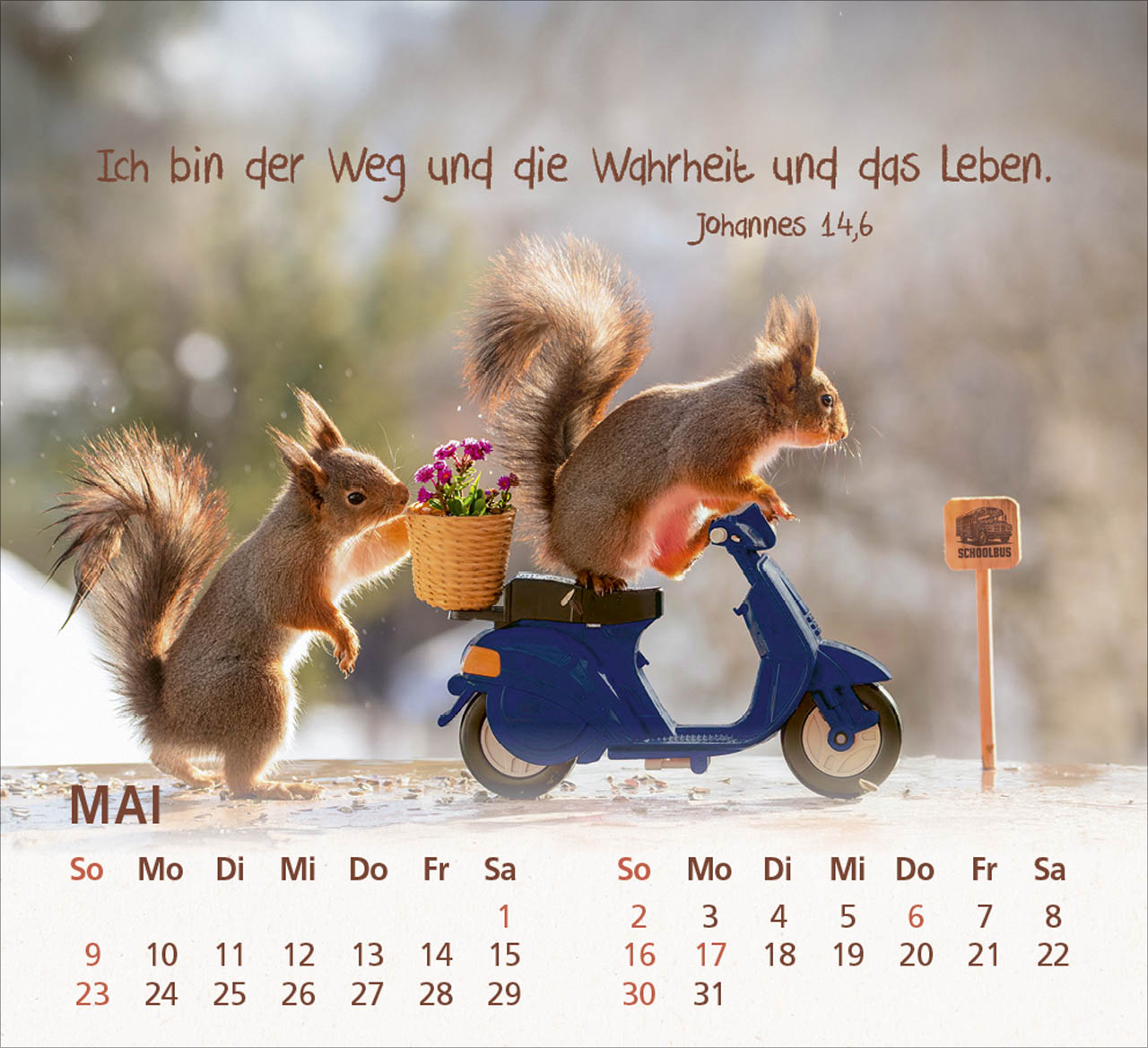 bolanz-du-bist-meine-freude-2027-tischkalender-eichh-rnchen image 7