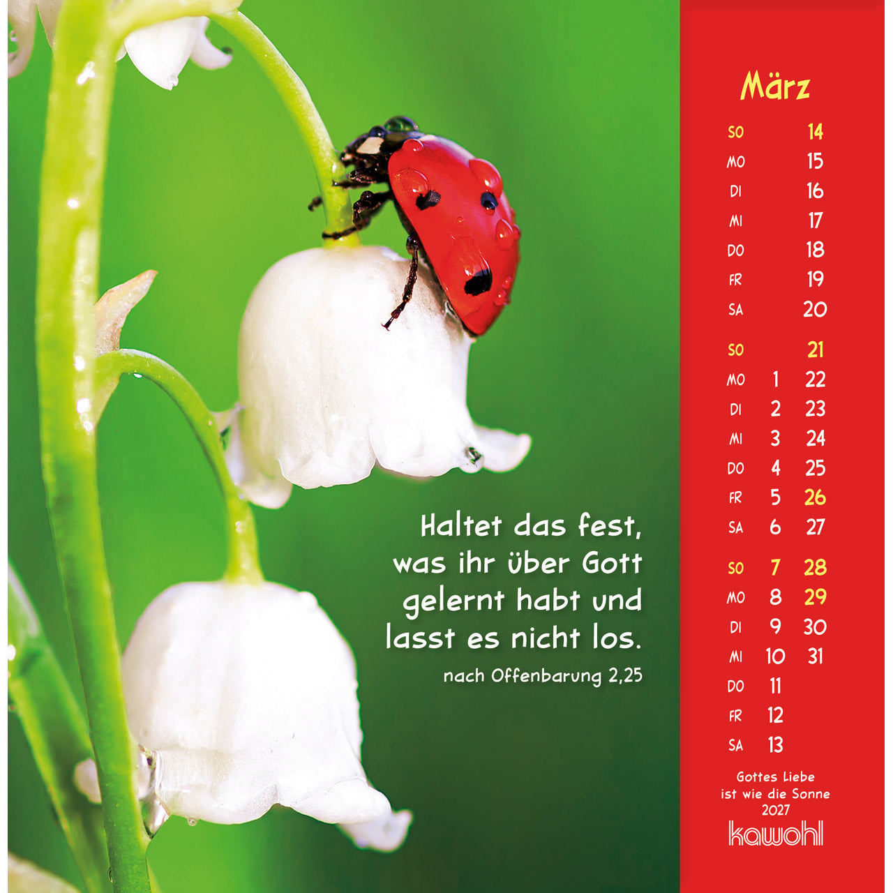 fontis-kalender-gottes-liebe-ist-wie-die-sonne-2027-postkartenkalender-tiere image 5