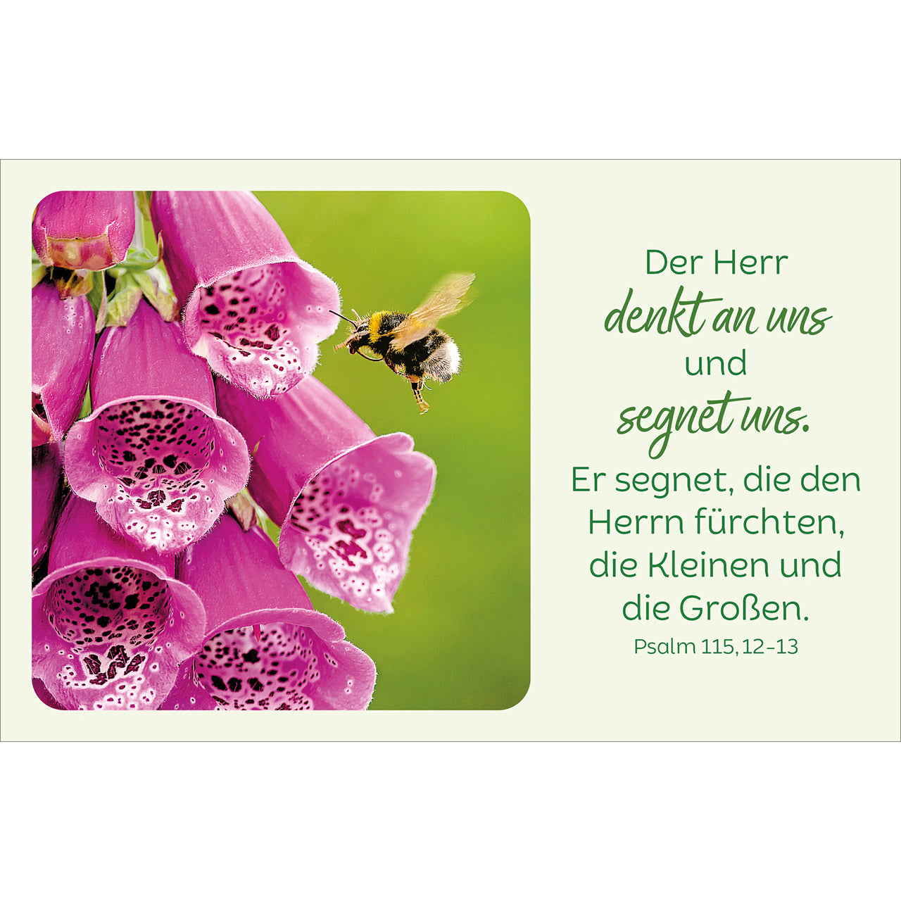 fontis-bl-tenreiche-bibelverse-kartenbox-62-karten-trost-zuversicht image 4