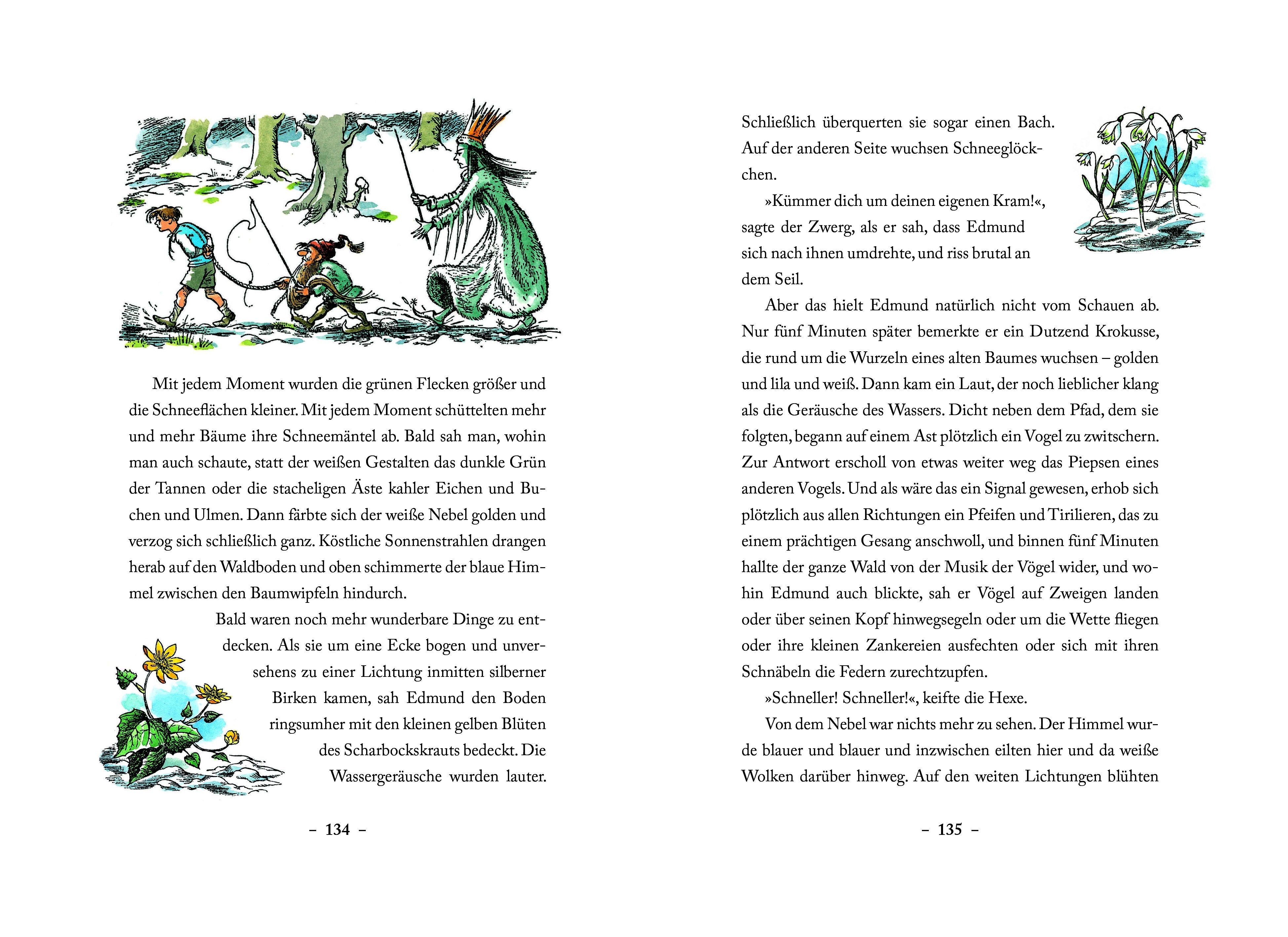fontis-b-cher-der-k-nig-von-narnia-schmuckausgabe-bd-1 image 3