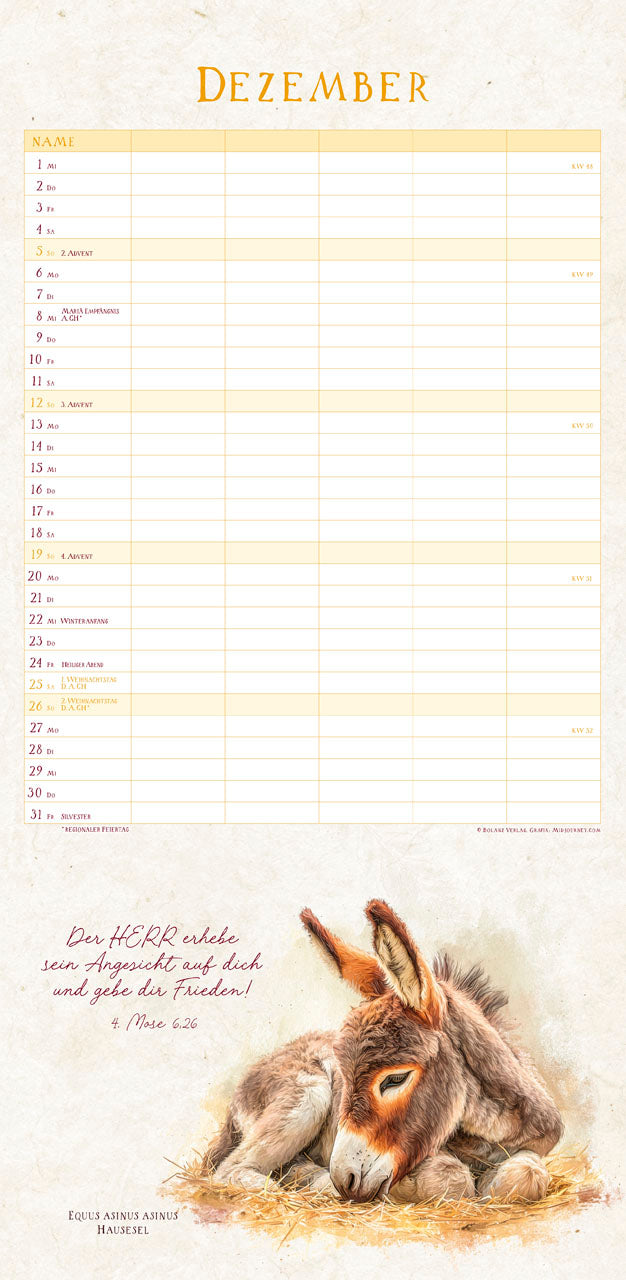 fontis-kalender-naturwunder-des-sch-pfers-2027-familienplaner image 6