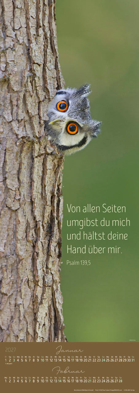 bolanz-impressionen-lebendiger-worte-2027-super-posterkalender image 4