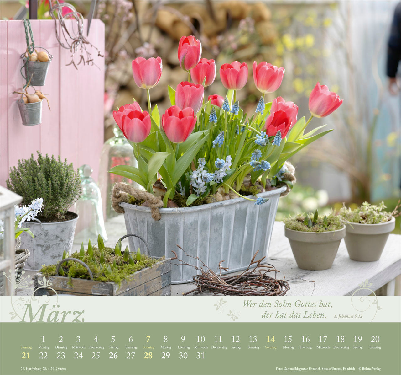 fontis-im-garten-zuhause-2027-wandkalender-mit-bibelversen image 5