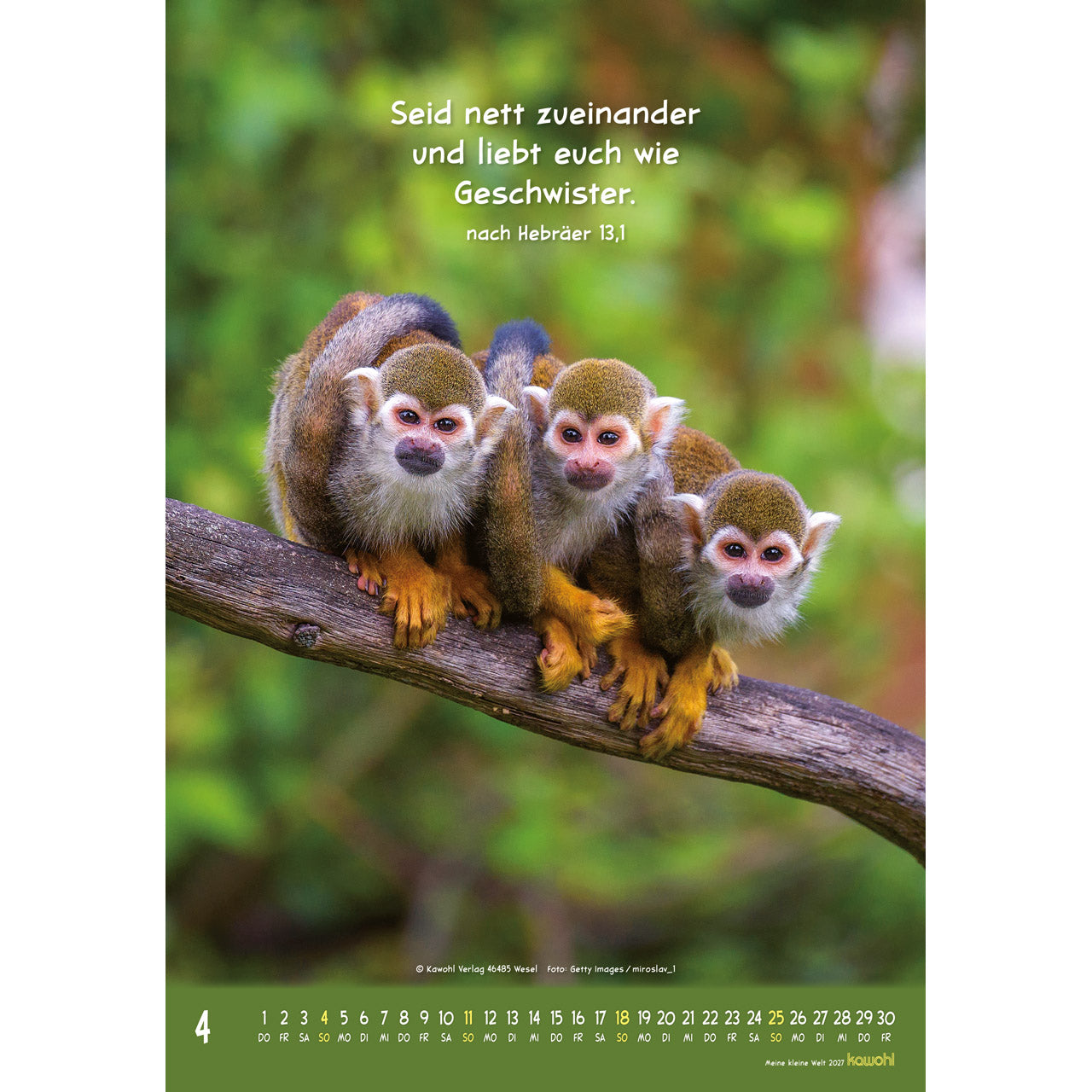 fontis-meine-kleine-welt-2027-wandkalender-f-r-kinder-tierfotos image 6
