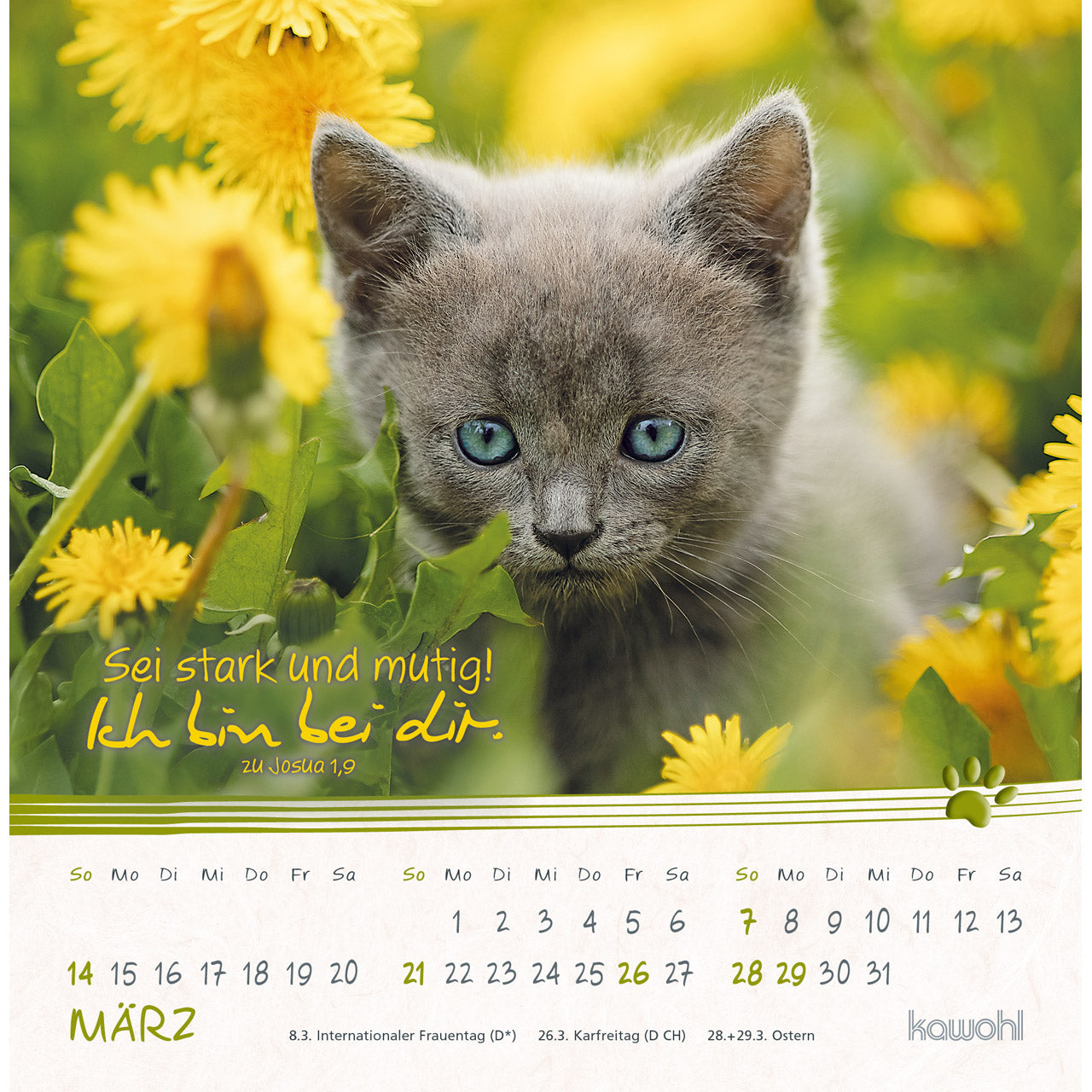 fontis-kalender-kleine-katzen-tatzen-2027-postkartenkalender-16x16-cm image 5