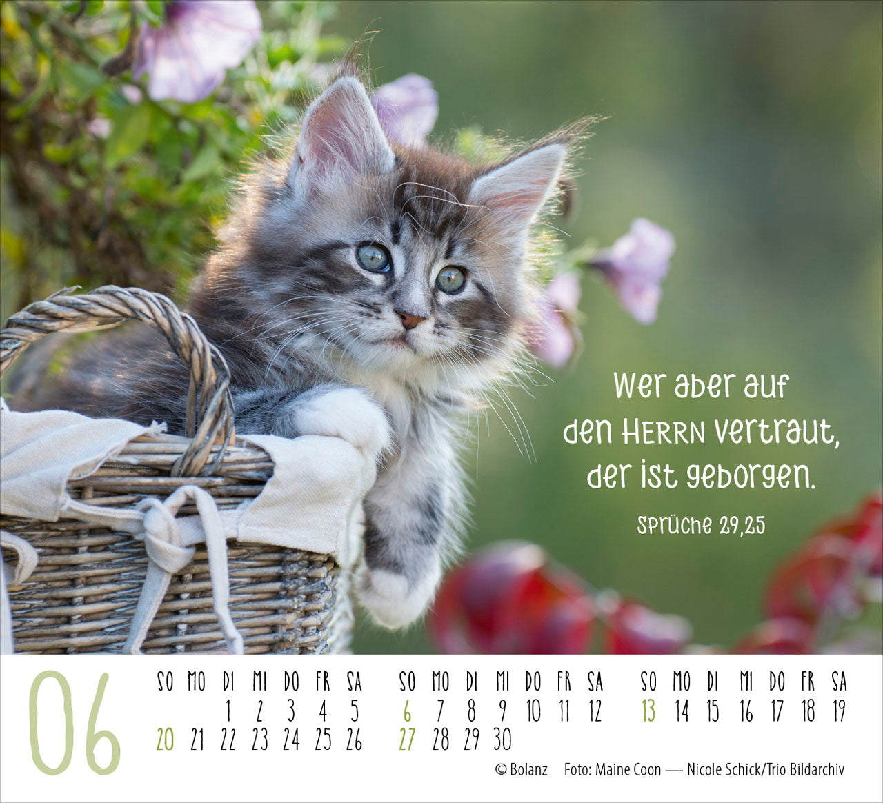 fontis-katzen-2027-minikalender-auf-leisen-pfoten-bibelverse image 8