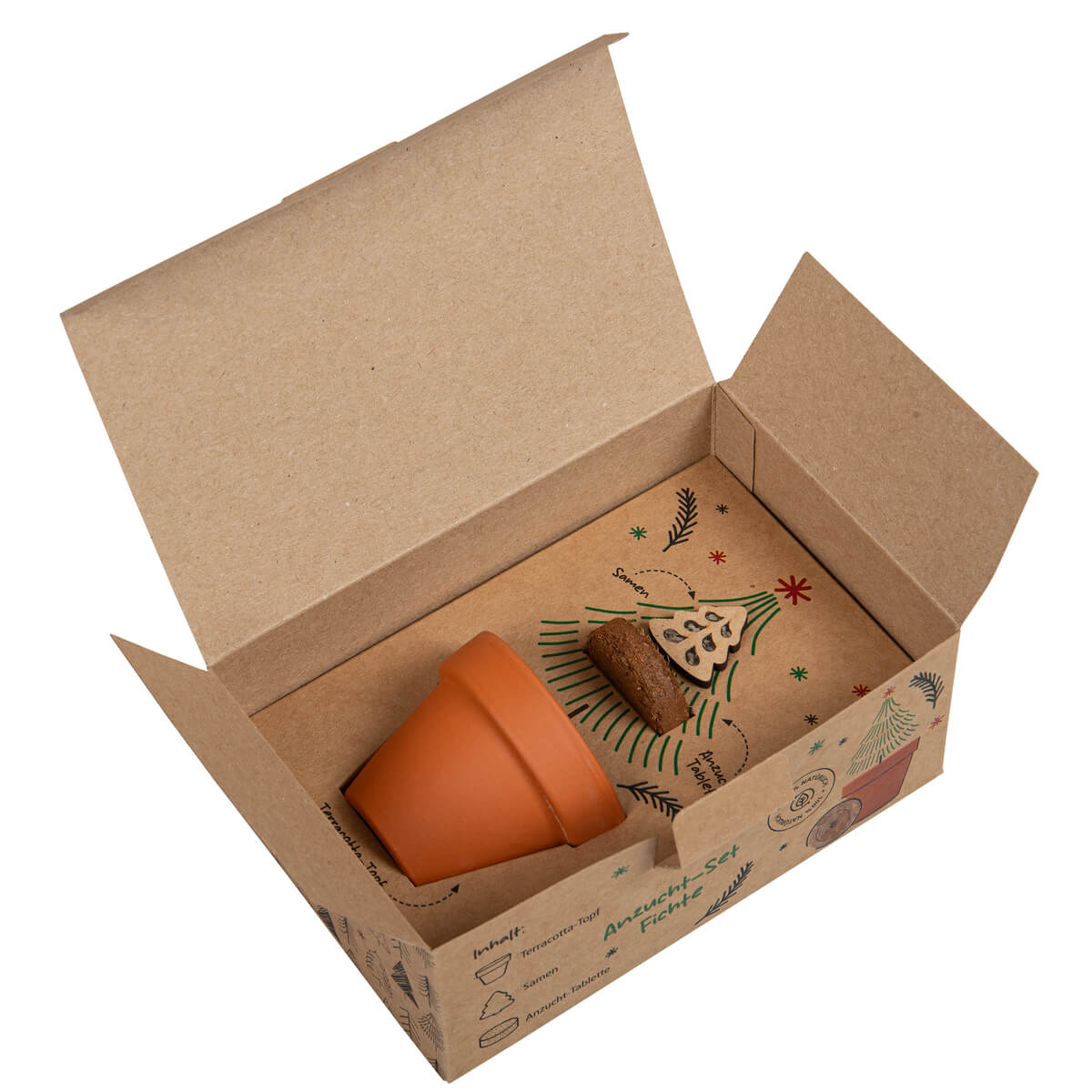fontis-gesegnetes-weihnachtsfest-anzucht-t-pfchen-fichte-geschenkbox image 1