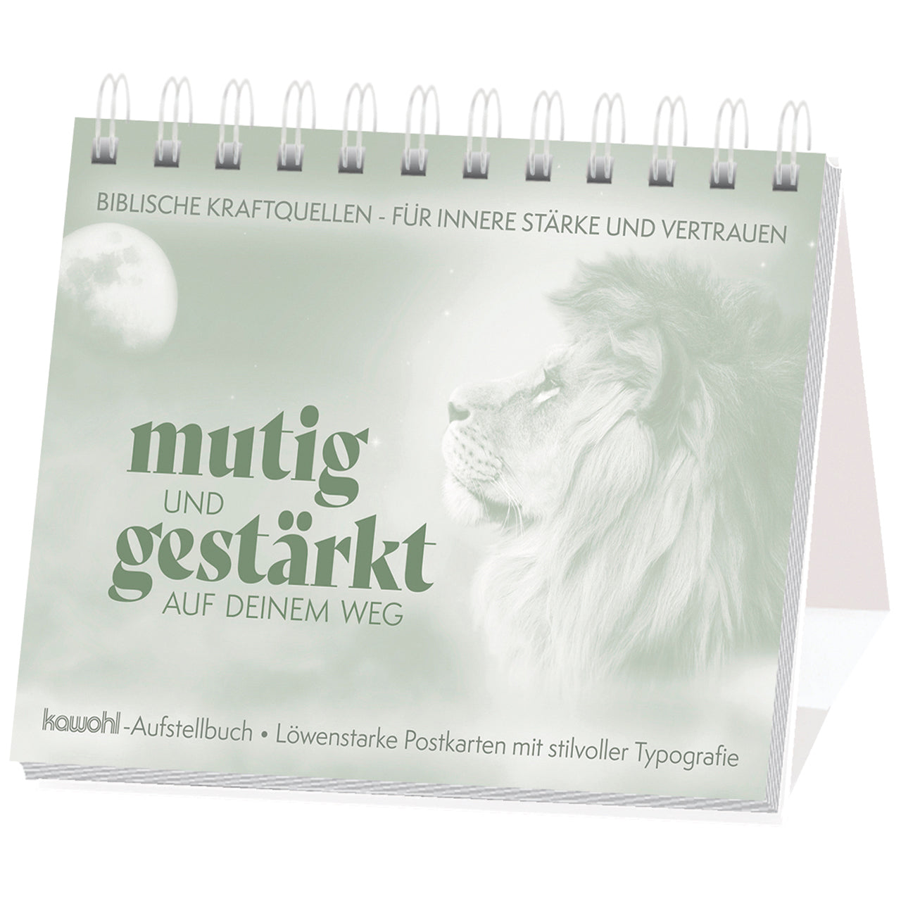 fontis-b-cher-mutig-und-gest-rkt-postkarten-aufstellbuch-24-karten image 1