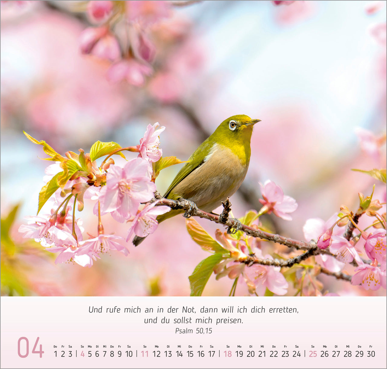 fontis-kalender-gesichter-der-natur-2027-wandkalender-bibelverse image 6