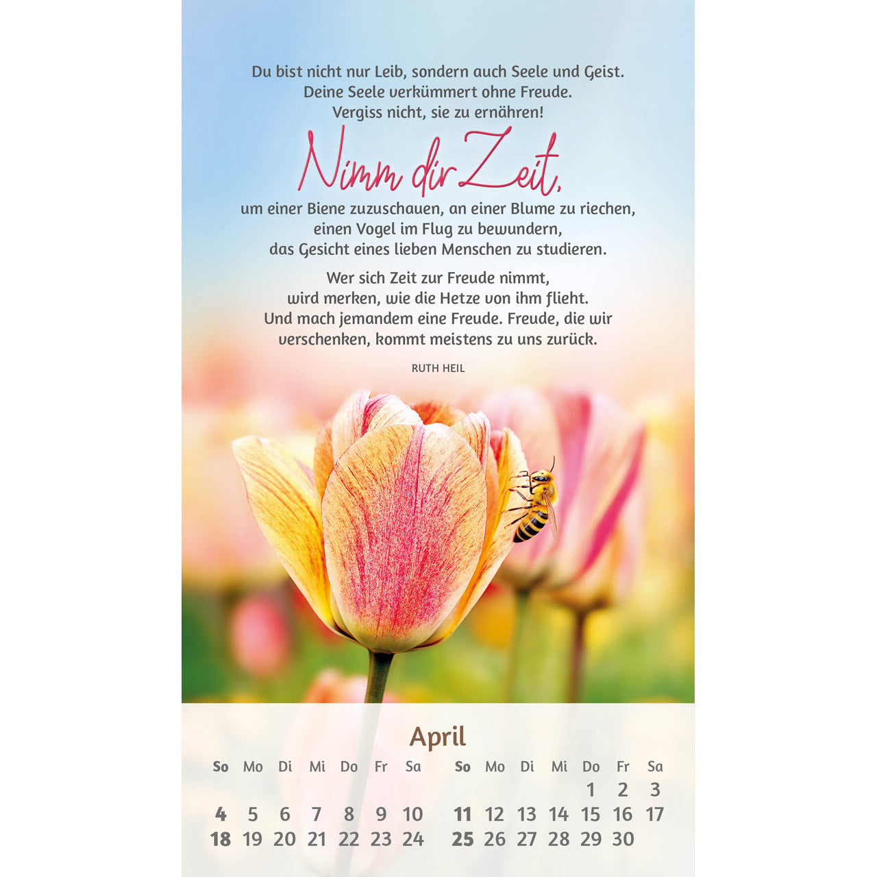 fontis-kalender-du-bist-mir-so-wertvoll-2027-postkartenkalender image 6