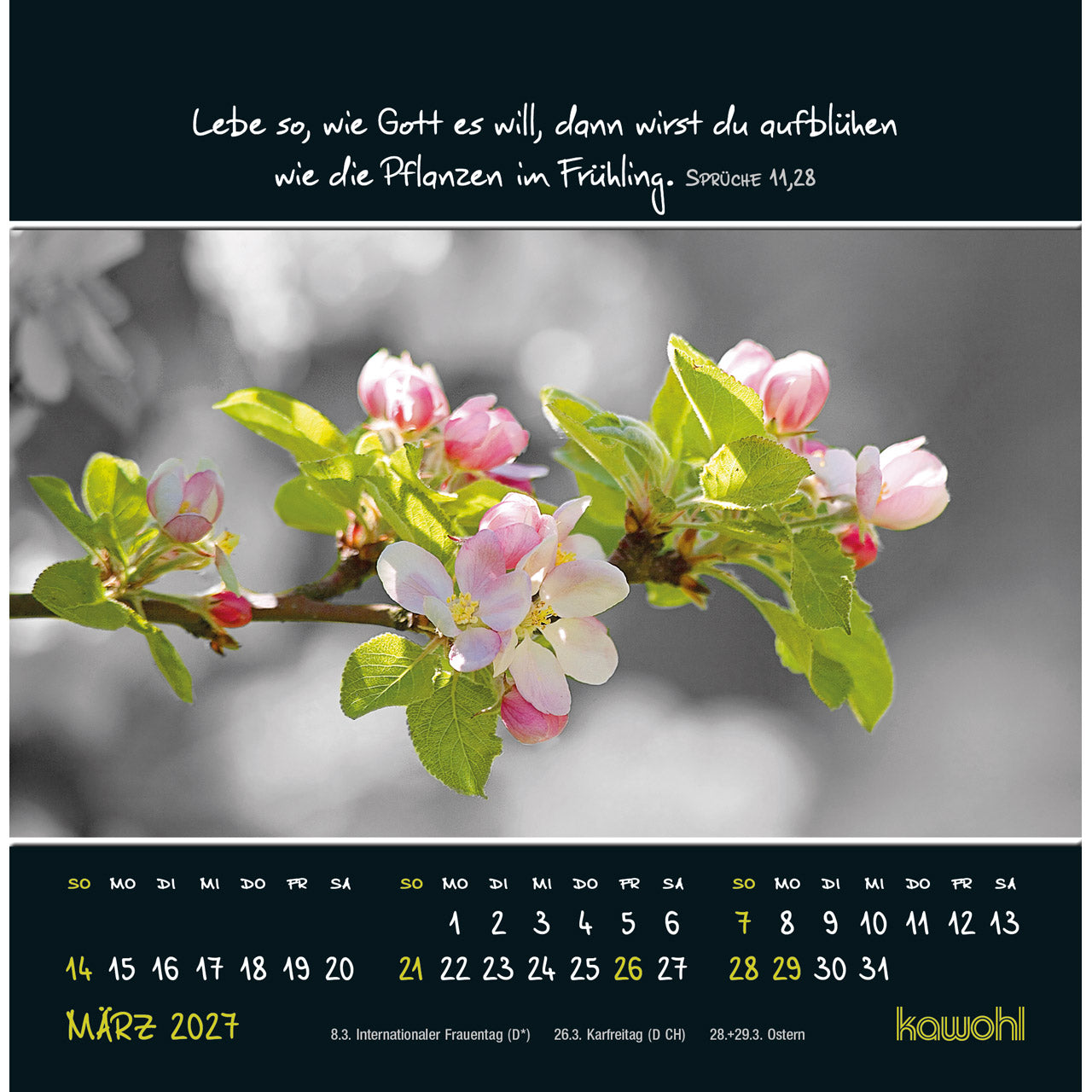 kleine-wunder-sehen-2027-postkartenkalender-16x16 image 5