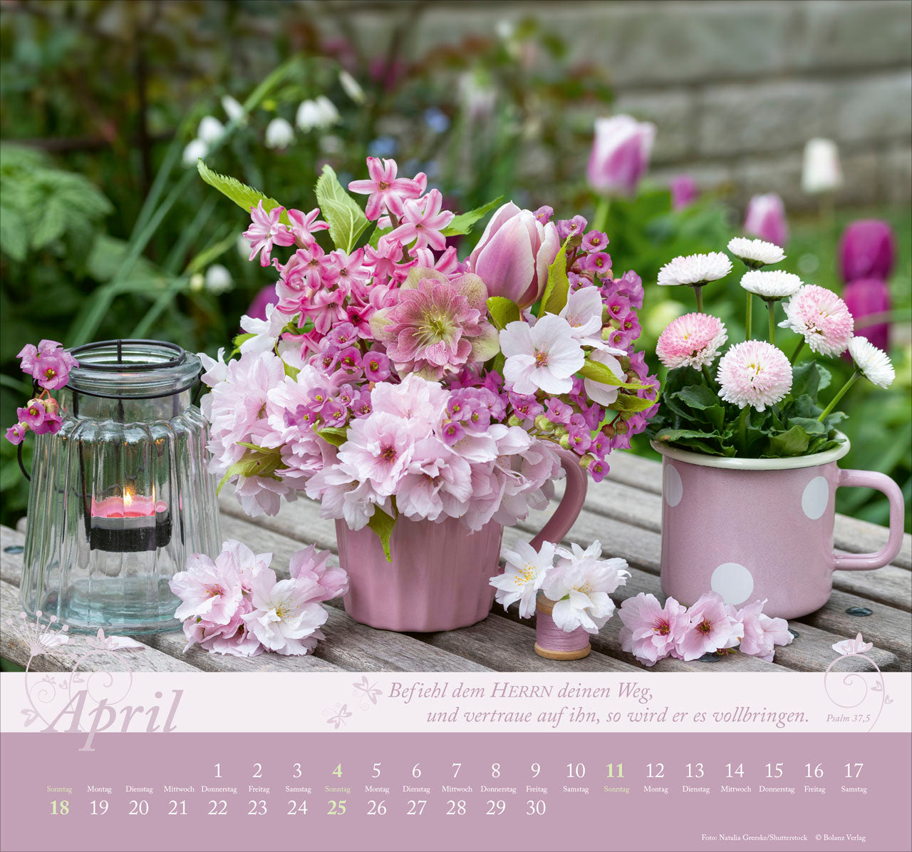 fontis-im-garten-zuhause-2027-wandkalender-mit-bibelversen image 6