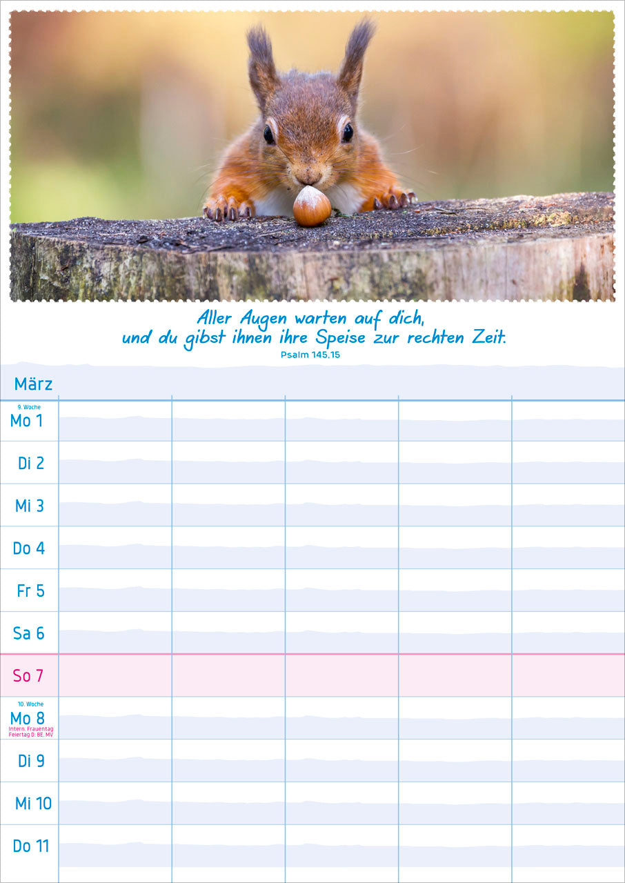 fontis-kalender-multiplaner-2027-wandplaner-5-spalten image 4