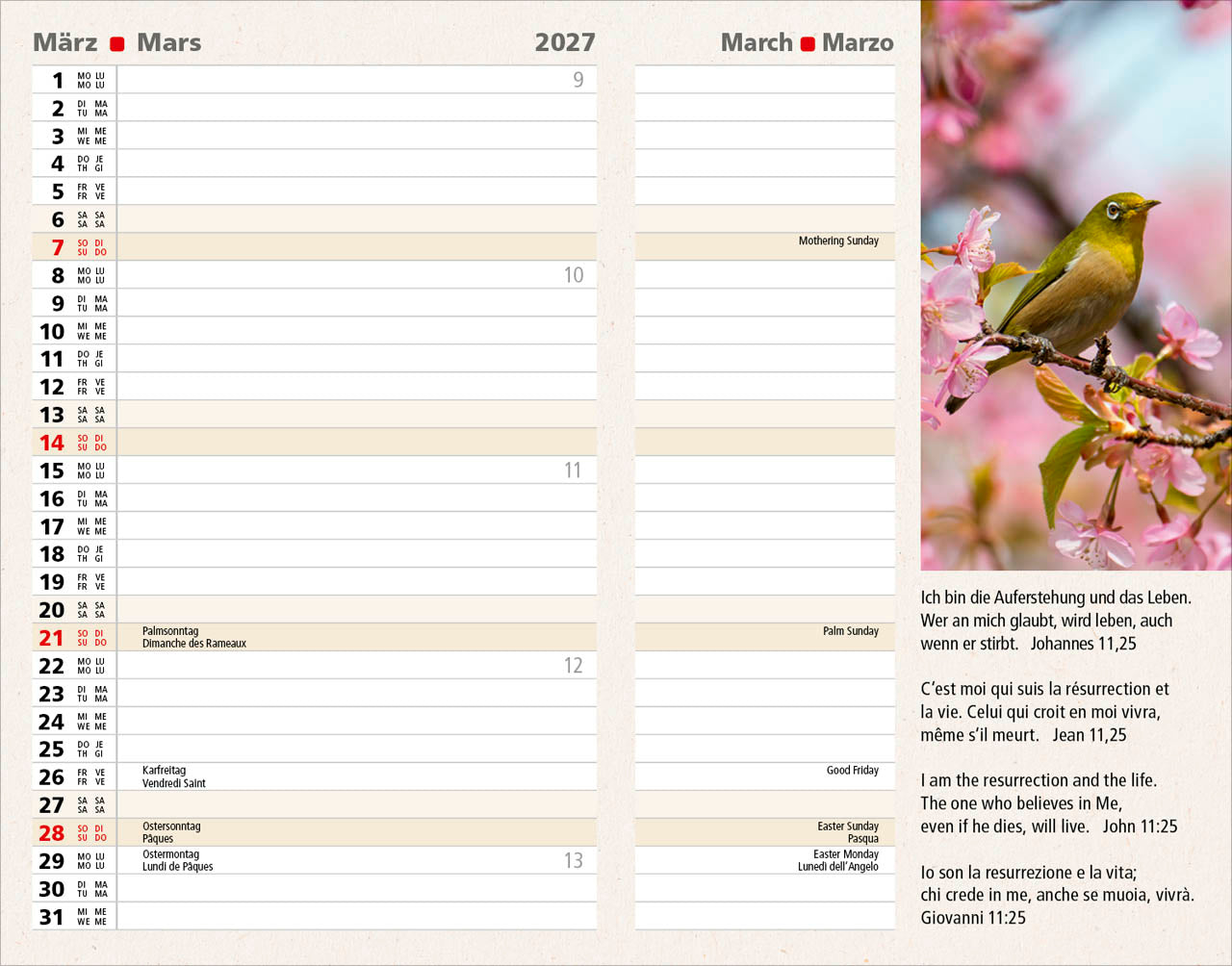 fontis-kalender-agenda-2027-taschenkalender-bibelverse image 7