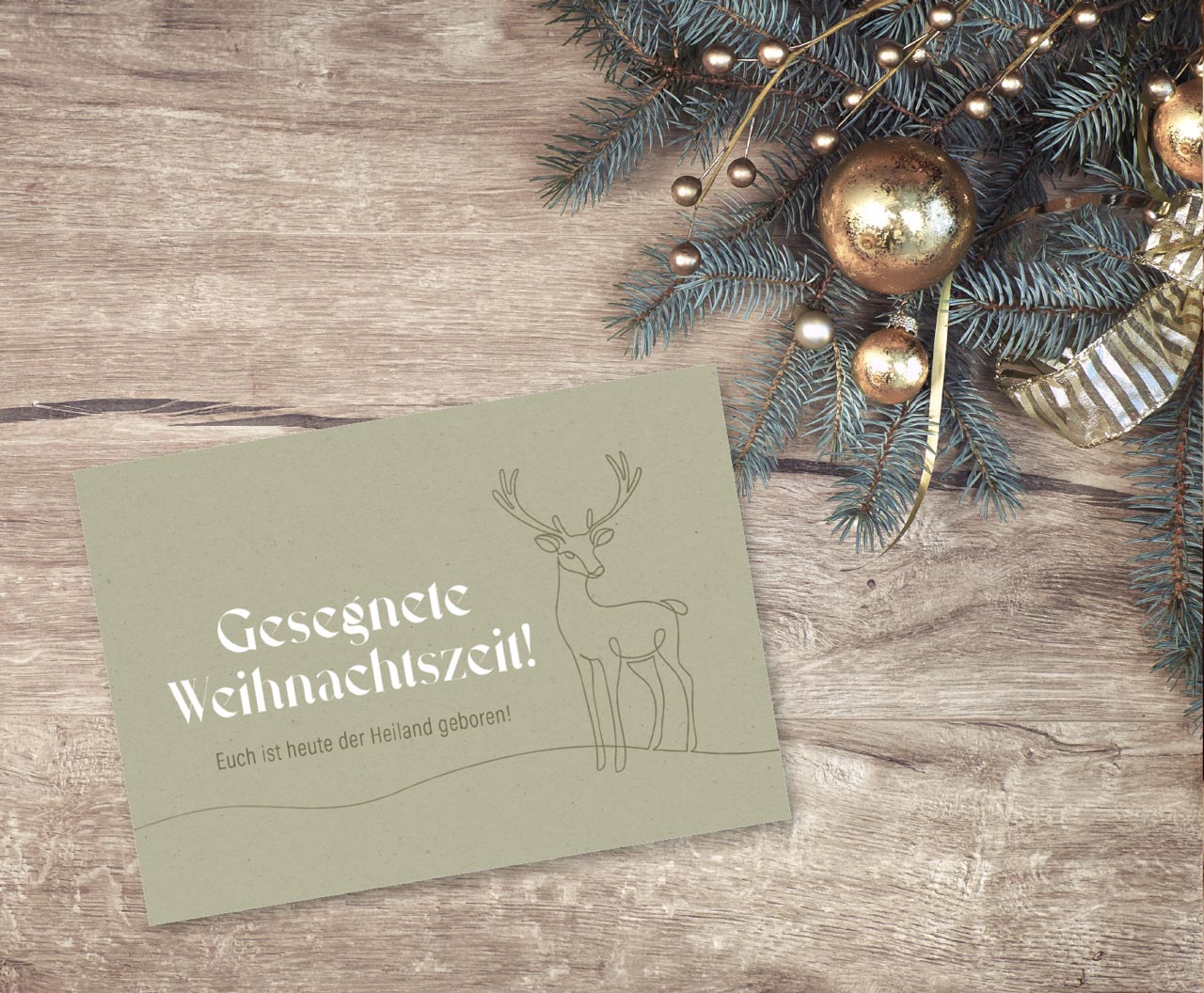 fontis-gesegnete-weihnachtszeit-postkarten-12er-set-bibelvers image 2